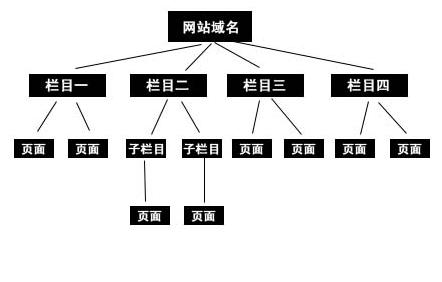 網(wǎng)站結構