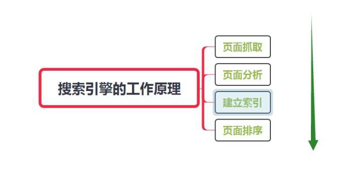 網(wǎng)站怎么讓蜘蛛快速抓??？